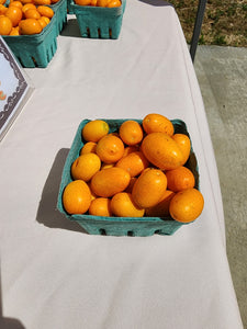 Kumquat Marmalade (pint)