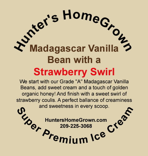 Madagascar Vanilla Bean Ice Cream with a Swirl of Strawberry Coulis