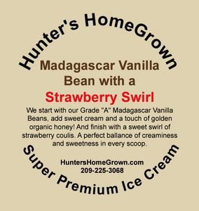 Madagascar Vanilla Bean Ice Cream with a Swirl of Strawberry Coulis