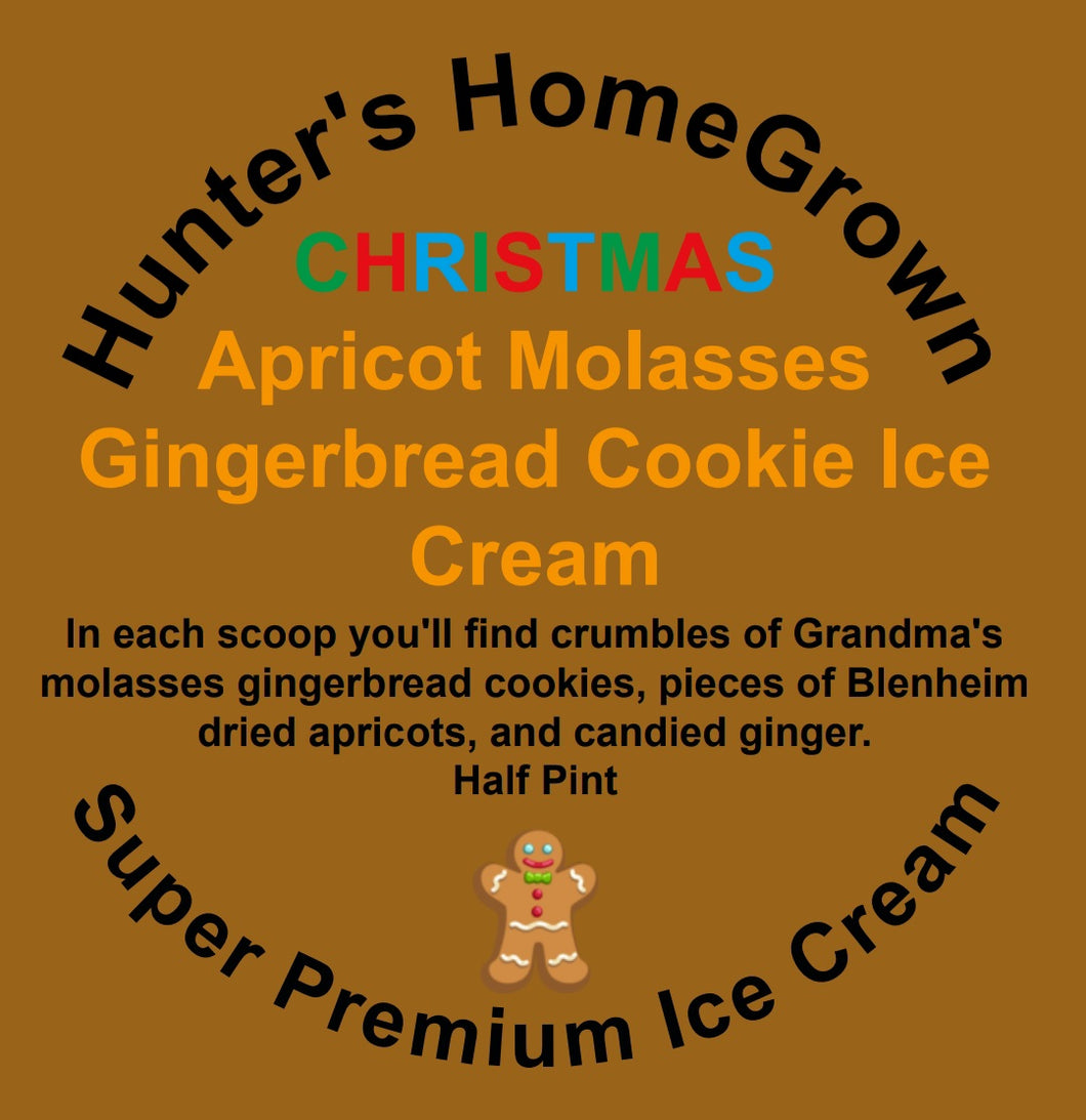 Apricot Molasses Gingerbread Cookie Ice Cream
